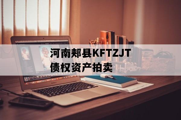 河南郏县KFTZJT债权资产拍卖