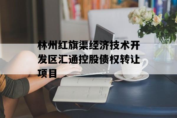 林州红旗渠经济技术开发区汇通控股债权转让项目