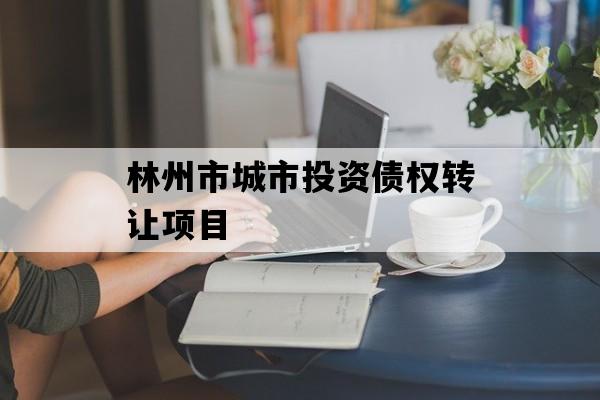 林州市城市投资债权转让项目