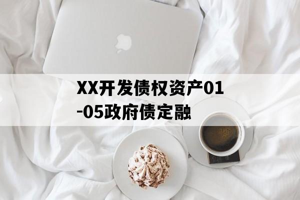 XX开发债权资产01-05政府债定融