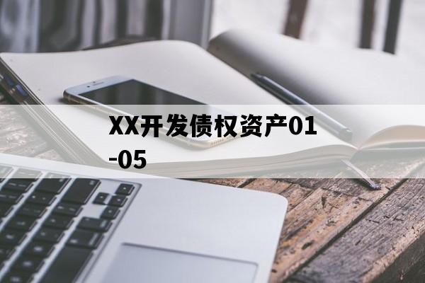 XX开发债权资产01-05