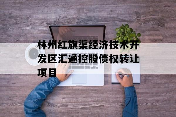 林州红旗渠经济技术开发区汇通控股债权转让项目