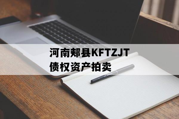 河南郏县KFTZJT债权资产拍卖