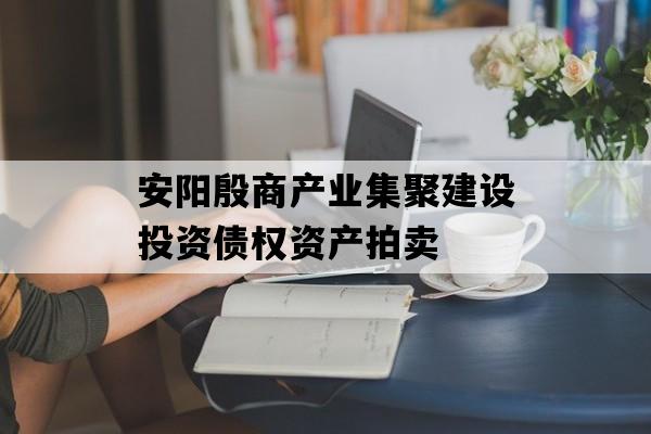 安阳殷商产业集聚建设投资债权资产拍卖