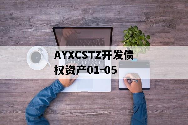 AYXCSTZ开发债权资产01-05