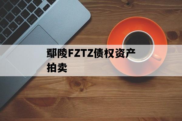 鄢陵FZTZ债权资产拍卖