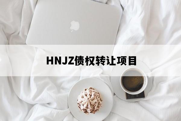 HNJZ债权转让项目