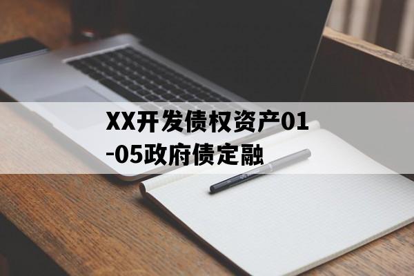 XX开发债权资产01-05政府债定融
