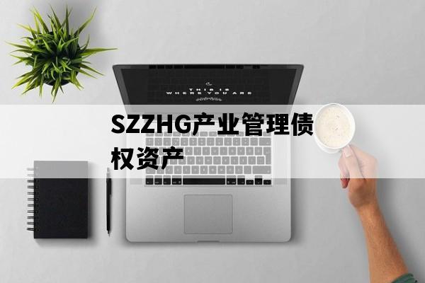 SZZHG产业管理债权资产 SZZHG产业管理债权资产