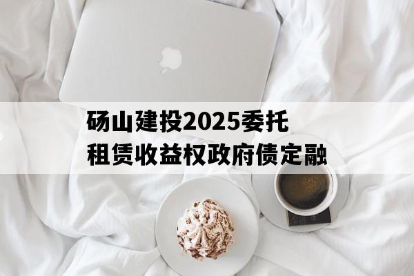 砀山建投2025委托租赁收益权政府债定融 砀山建投2025委托租赁收益权政府债定融