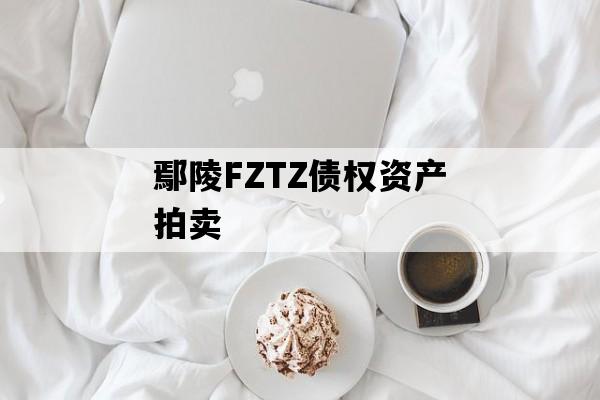 鄢陵FZTZ债权资产拍卖