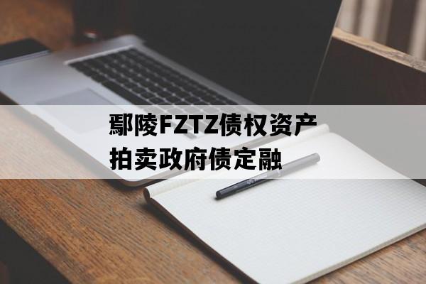 鄢陵FZTZ债权资产拍卖政府债定融