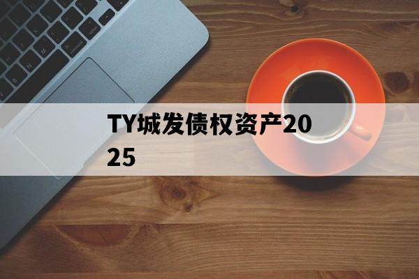 TY城发债权资产2025