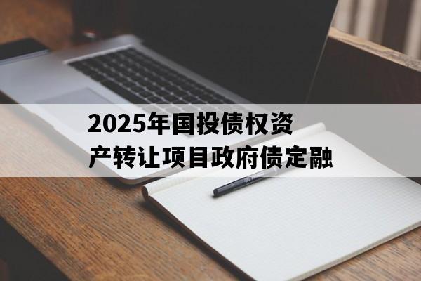 2025年国投债权资产转让项目政府债定融